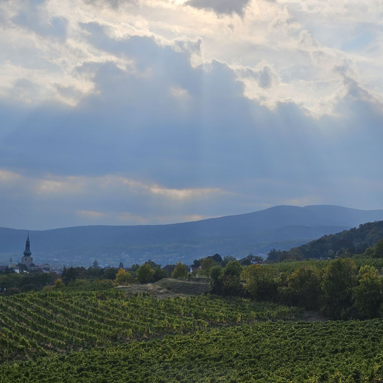 Gravel ride through the hills outside Vienna