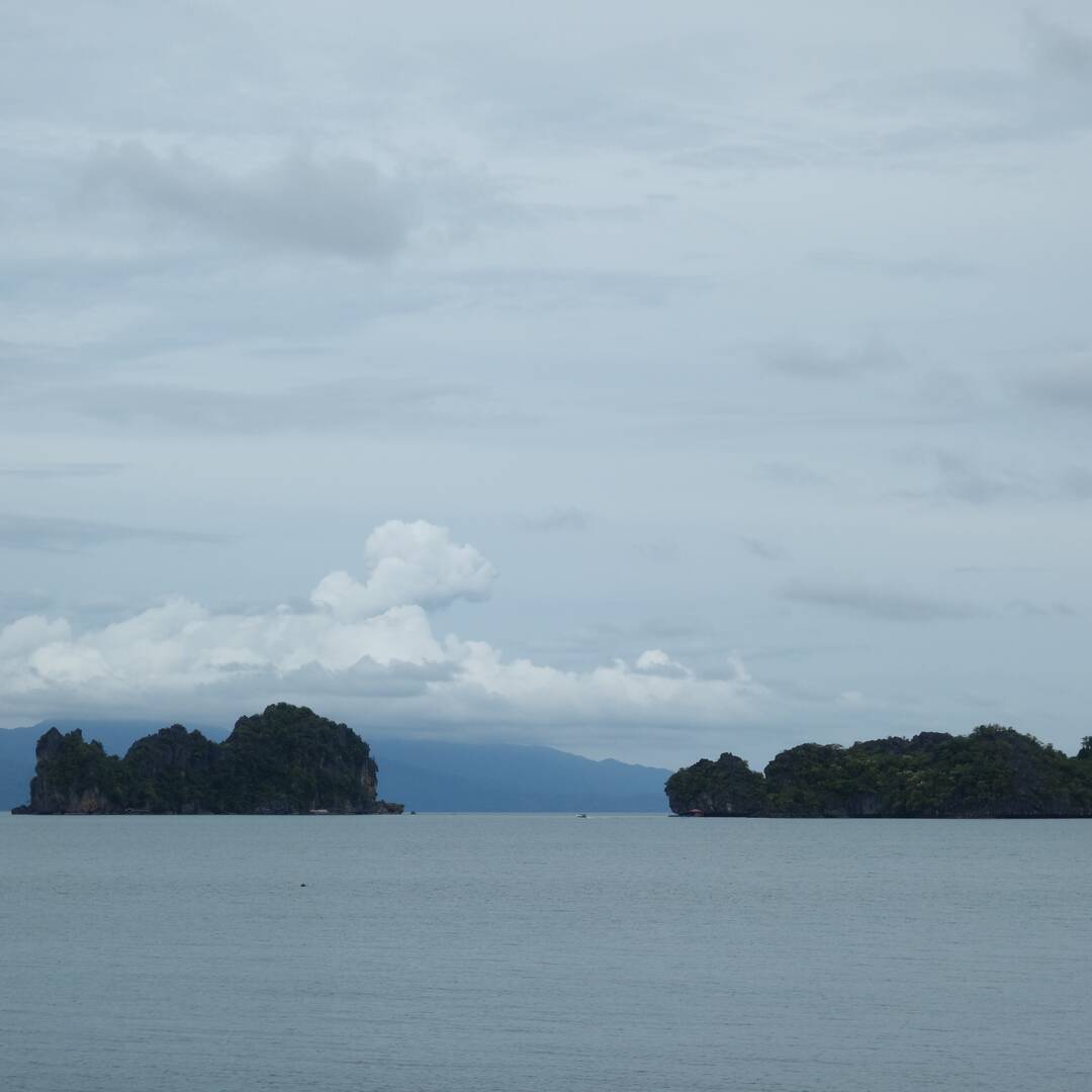 Gavin’s Gone A-wandering