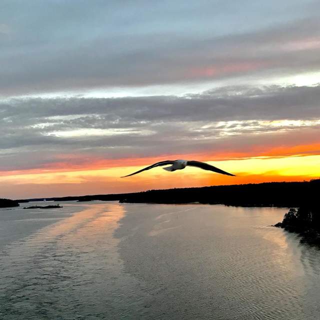 2018-08 Aida Baltic Sea