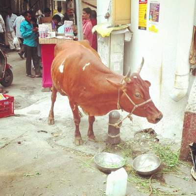India