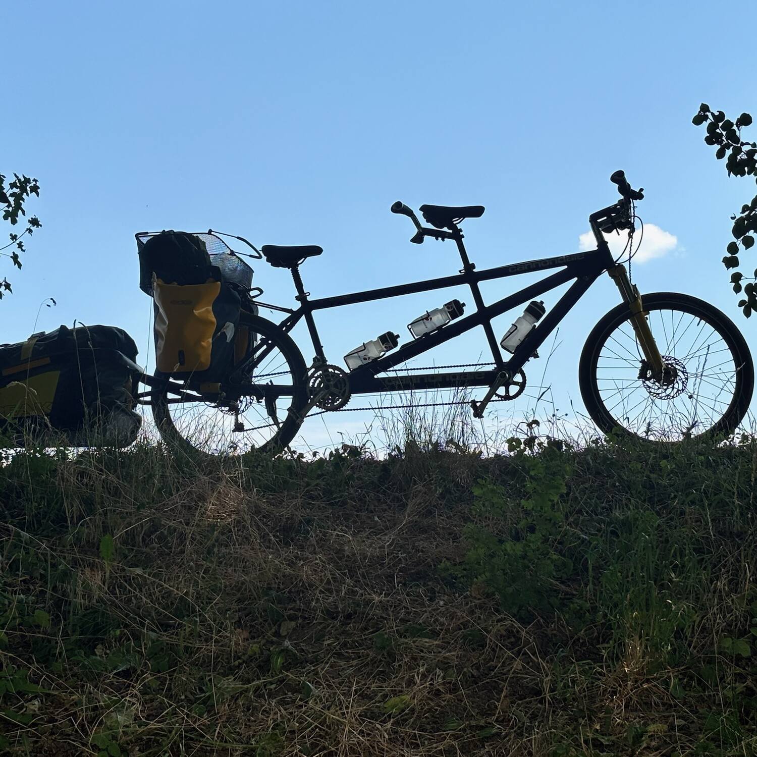 Tandem 2026