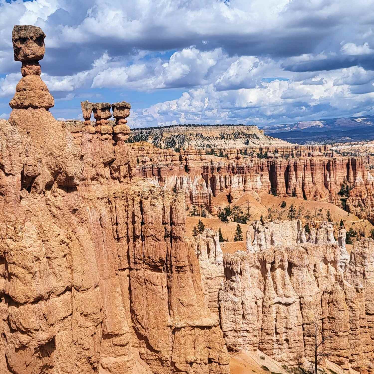 HawaiiWestCoastCostaRica