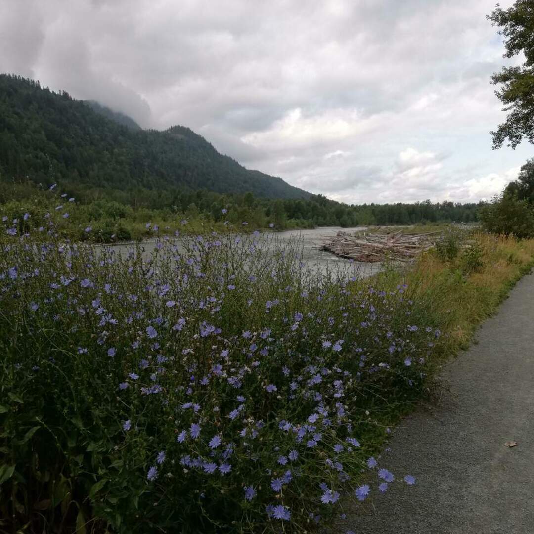 Au Pair in Chilliwack, BC, Ca