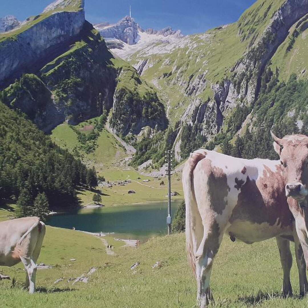 Vorarlberg 2020