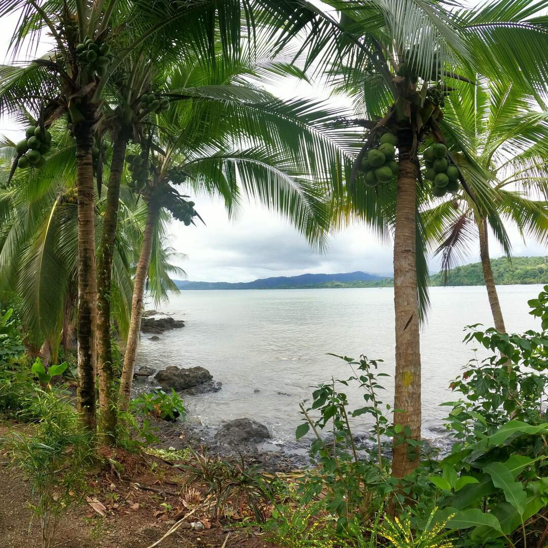 Costa Rica 2021