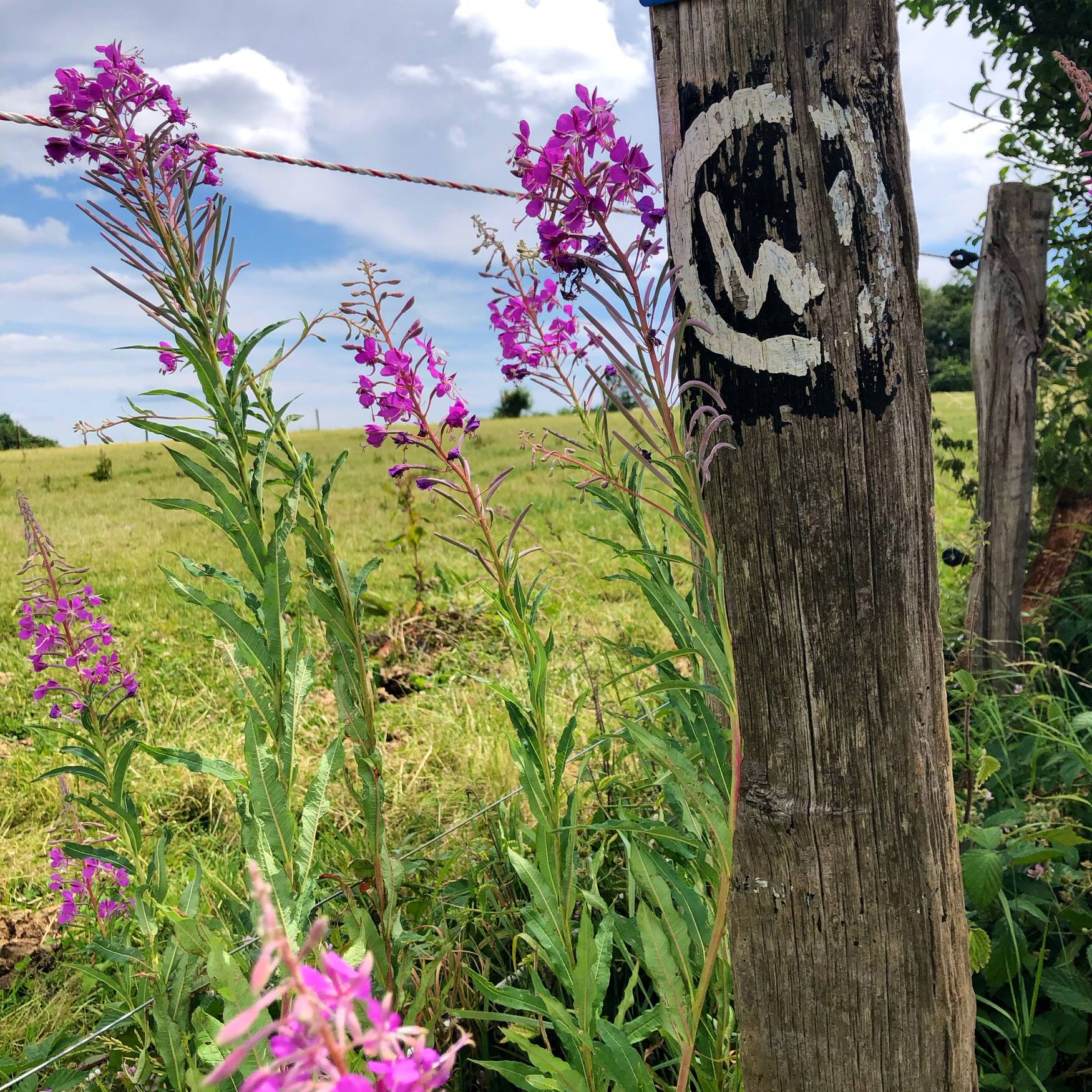 Auf Pilgerpfaden im Bergischen