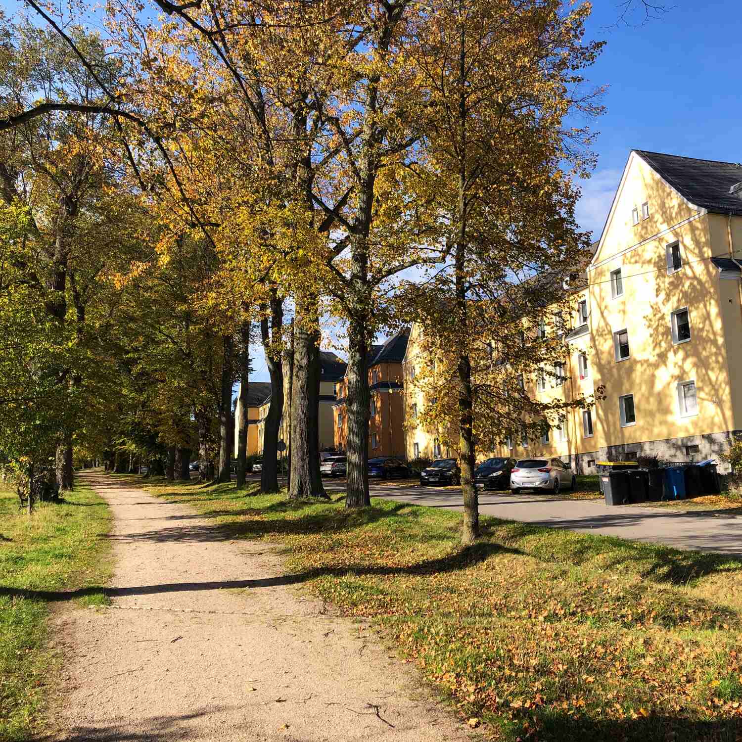 Goldener Herbst im Erzgebirge