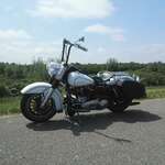M Veer