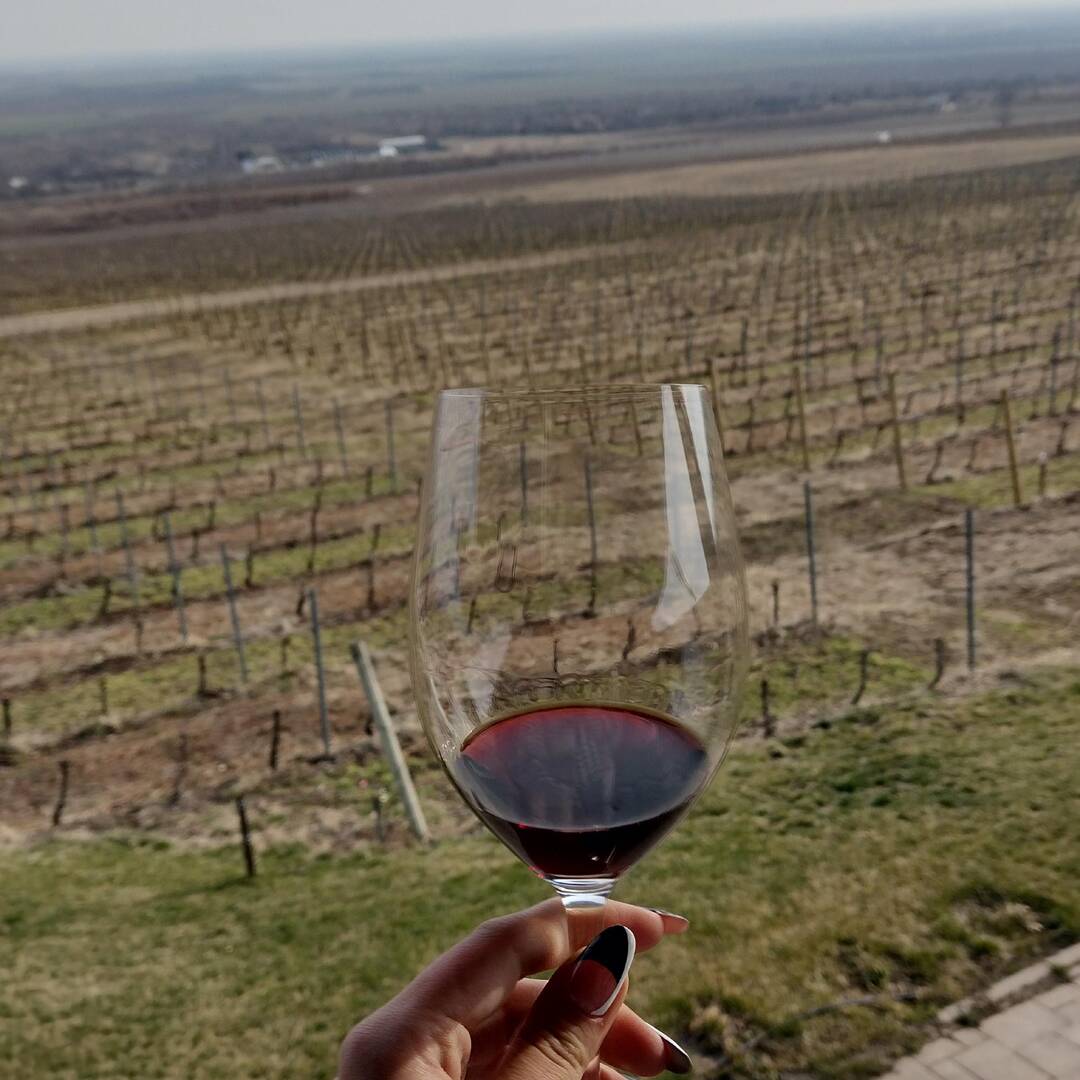 Davino winery