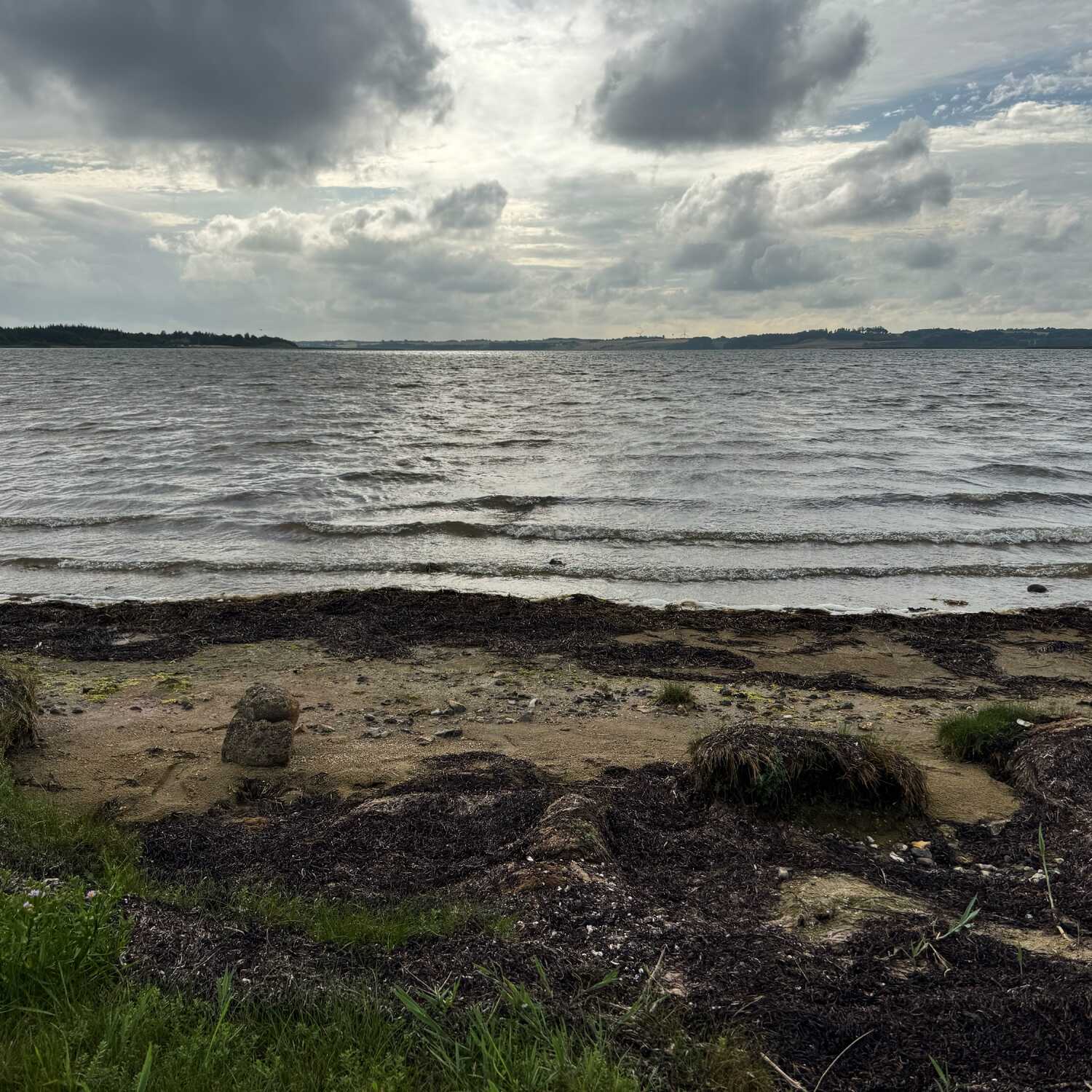 Dänemark Urlaub 2025