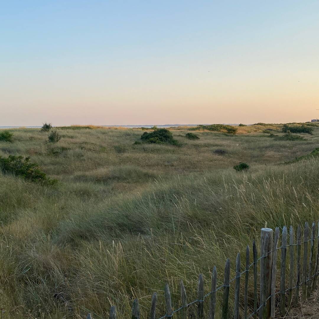 Sylt