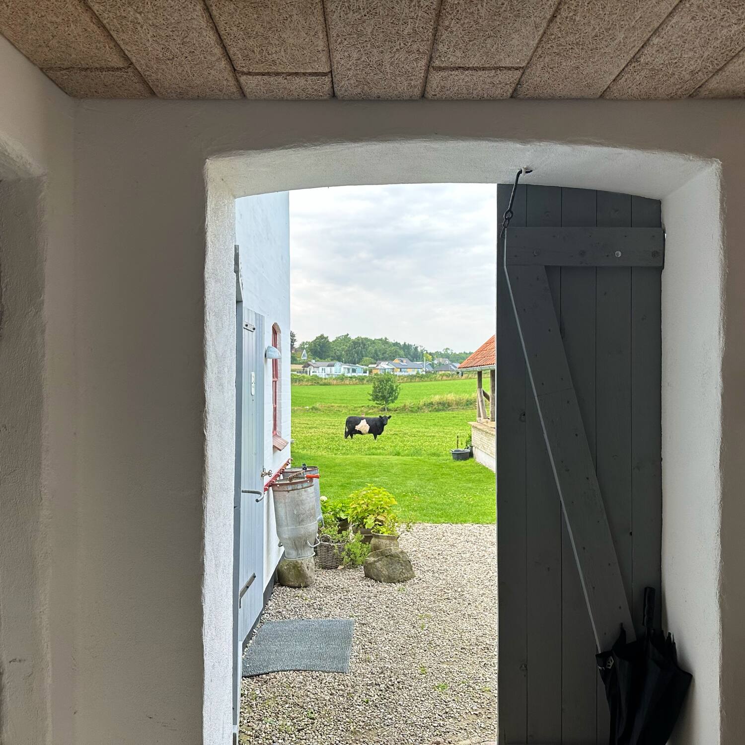 rinkenæs