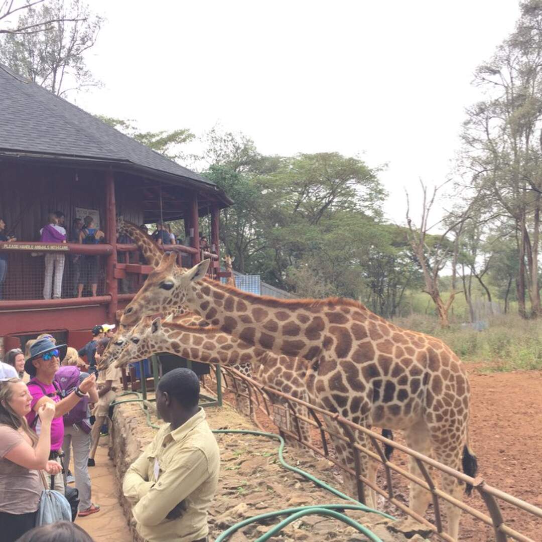 Kenia