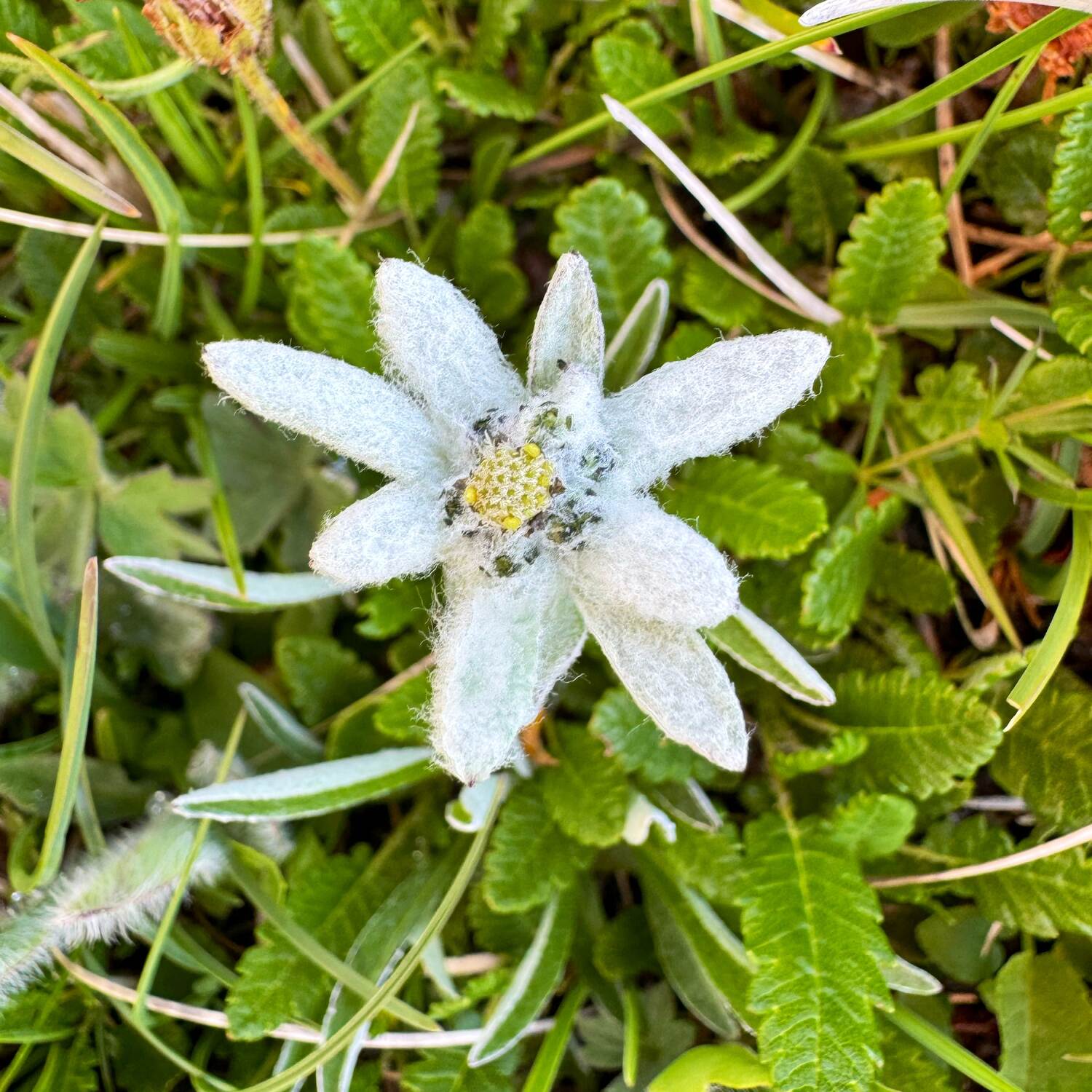 Mathi’s Reisen ab Juli 2024