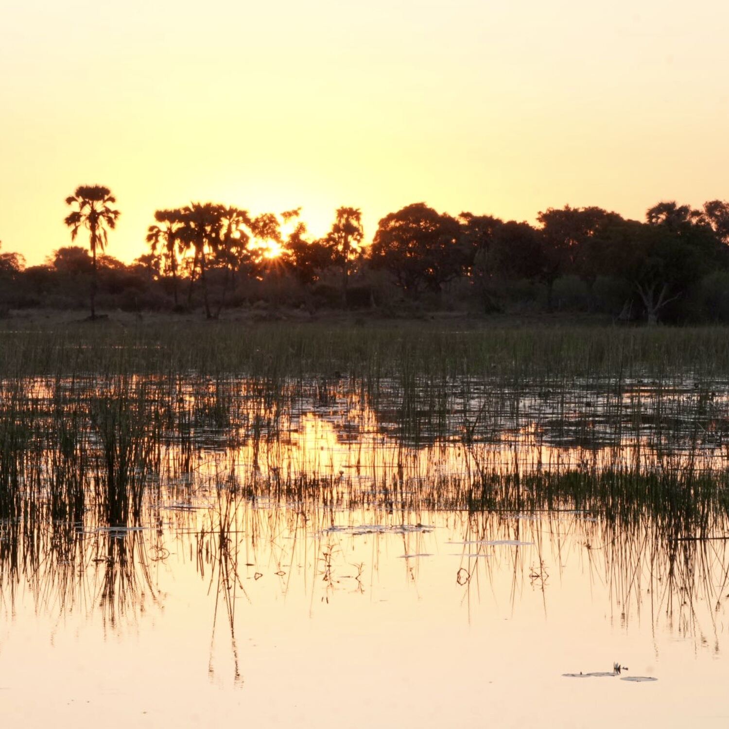 Botswana - Ladies only - 2026
