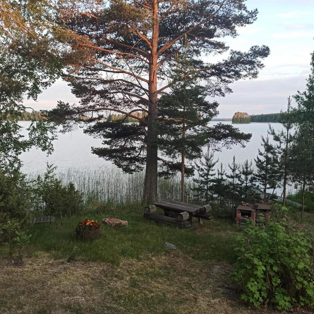 Summer Cottage
