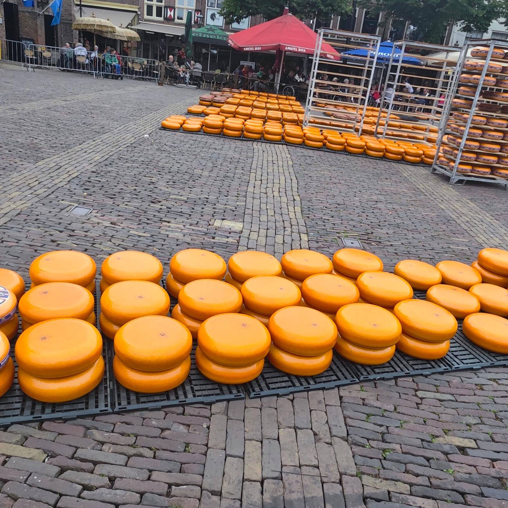 Holland und Burg Eltz