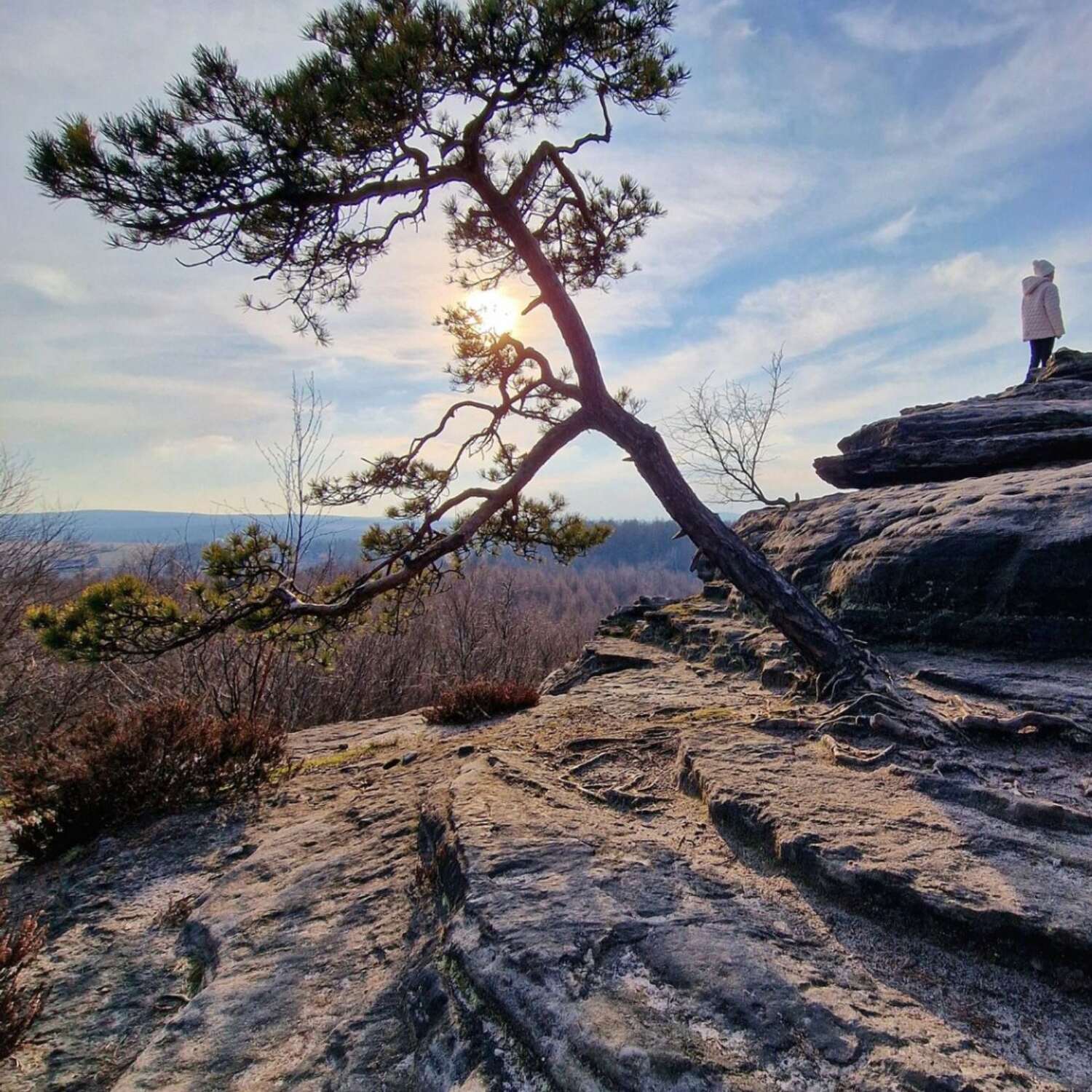 Forststeig S - Tisa - BS