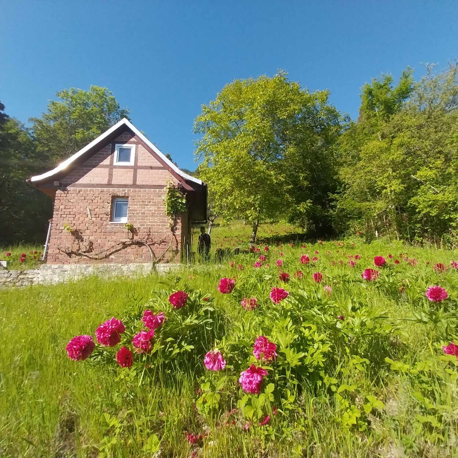 Pfingsten Porstendorf-Bürgel