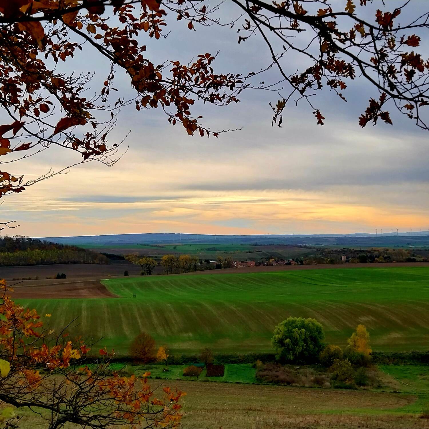 #Finnewanderweg im Herbst