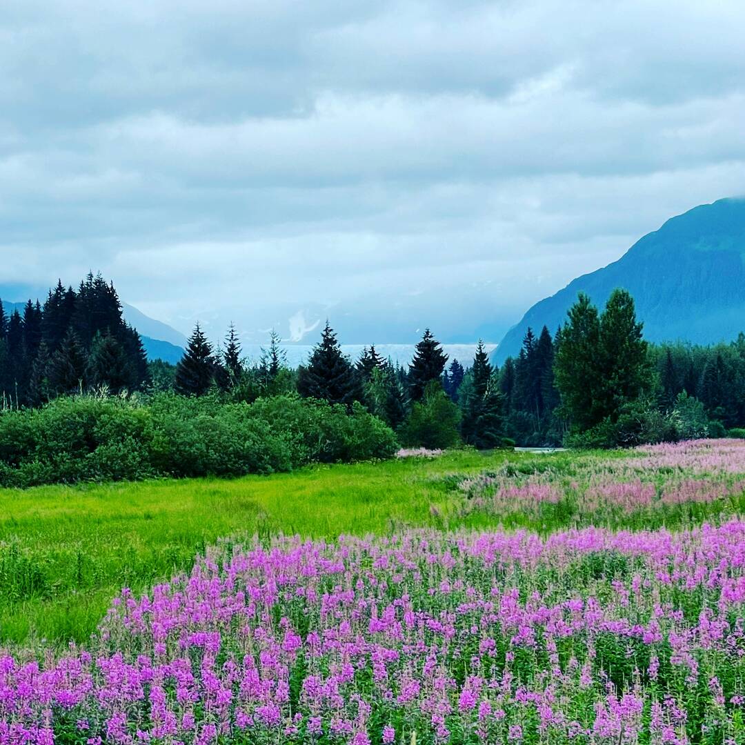 Alaska Cruise