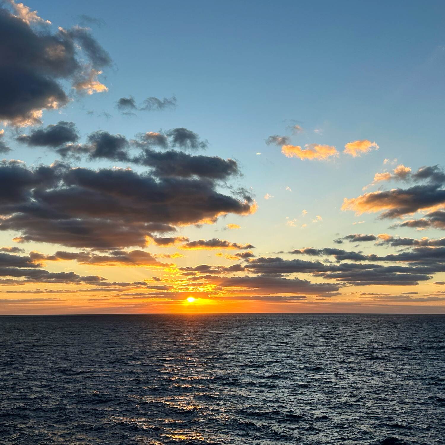 Cruise Feb 2024