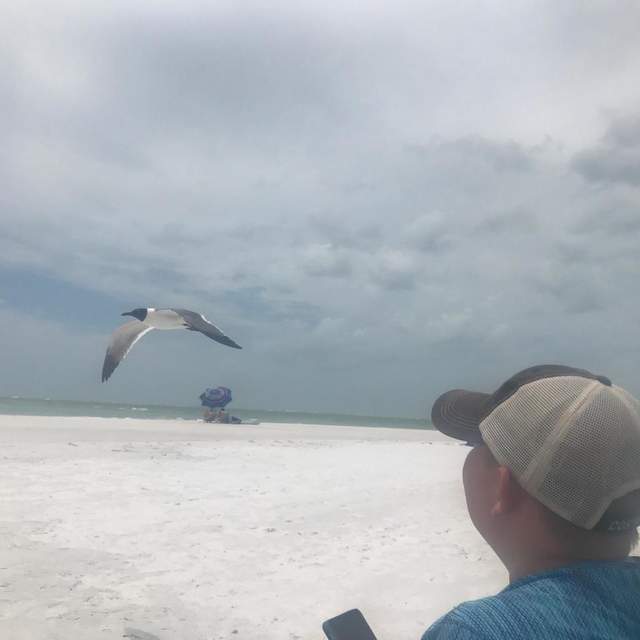 Anna Maria Island