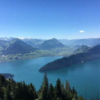 tour the suisse