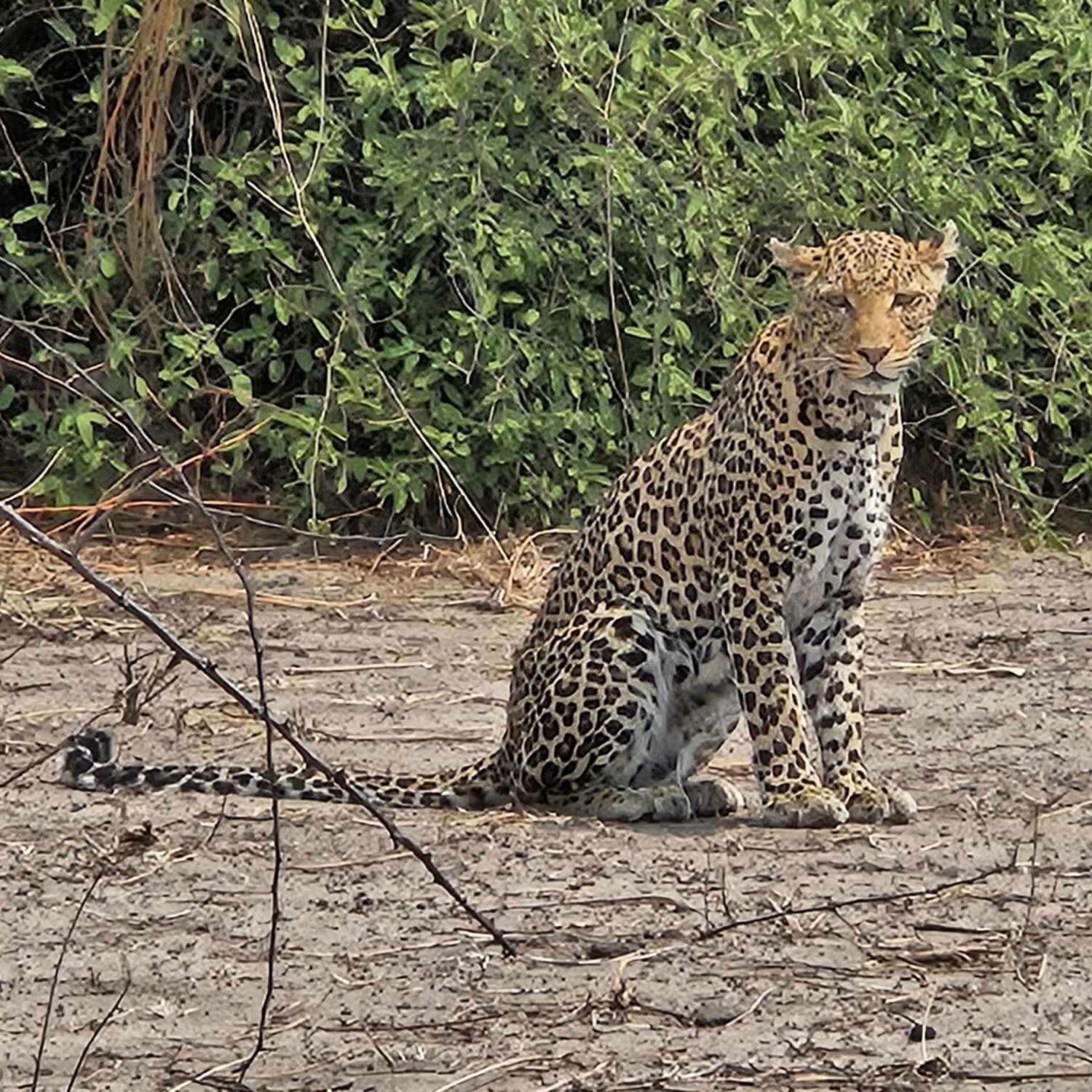 Namibia - Botswana zwei