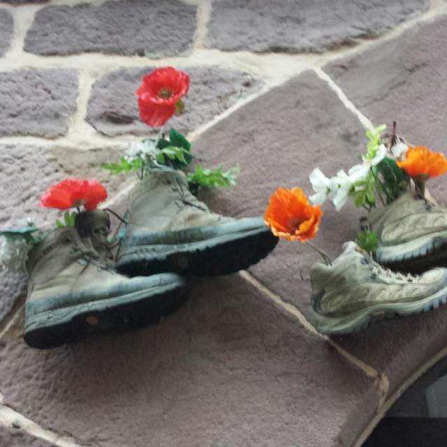 Camino Frances 2017