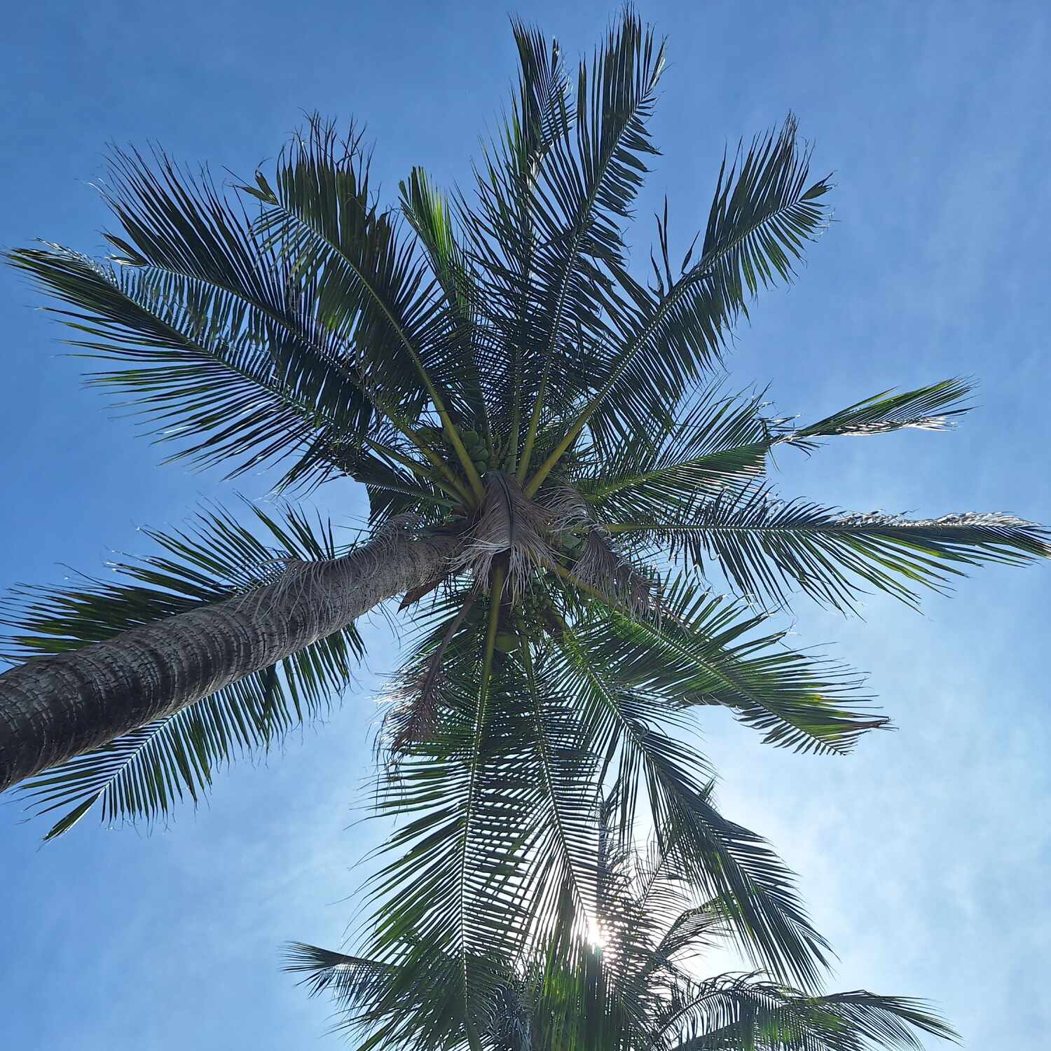 Südostasien 2025/26