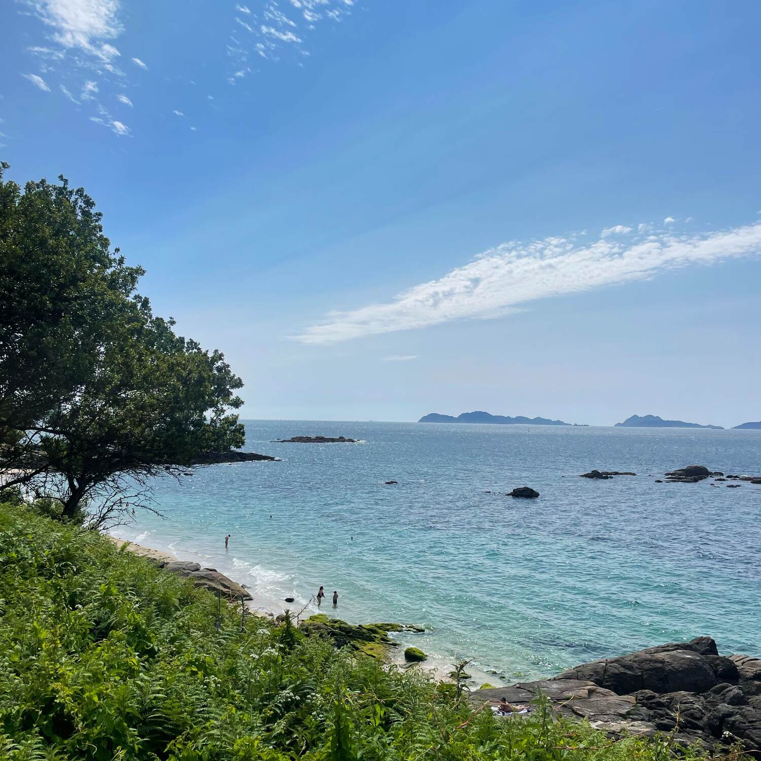 Camino portuguese de la costa