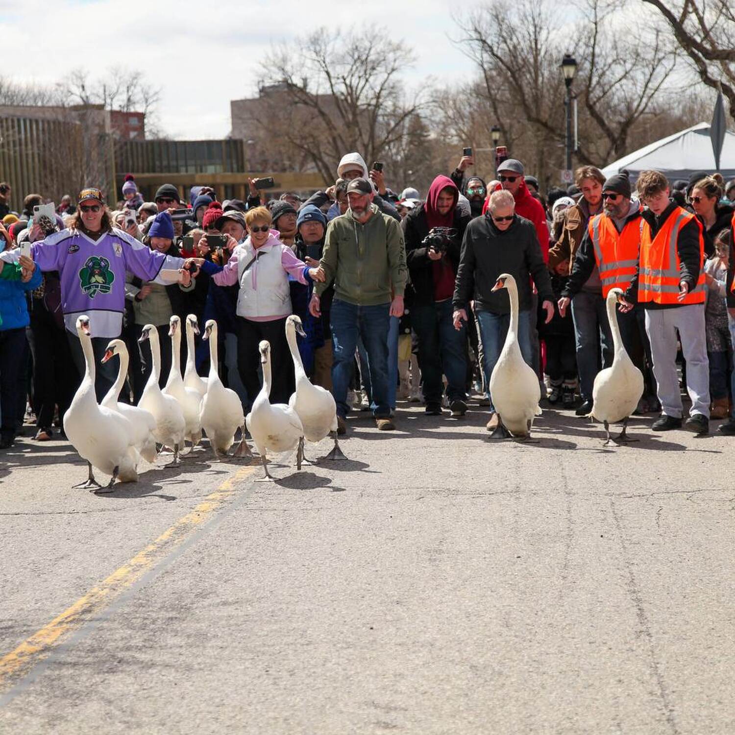Stratford - Swan Parade