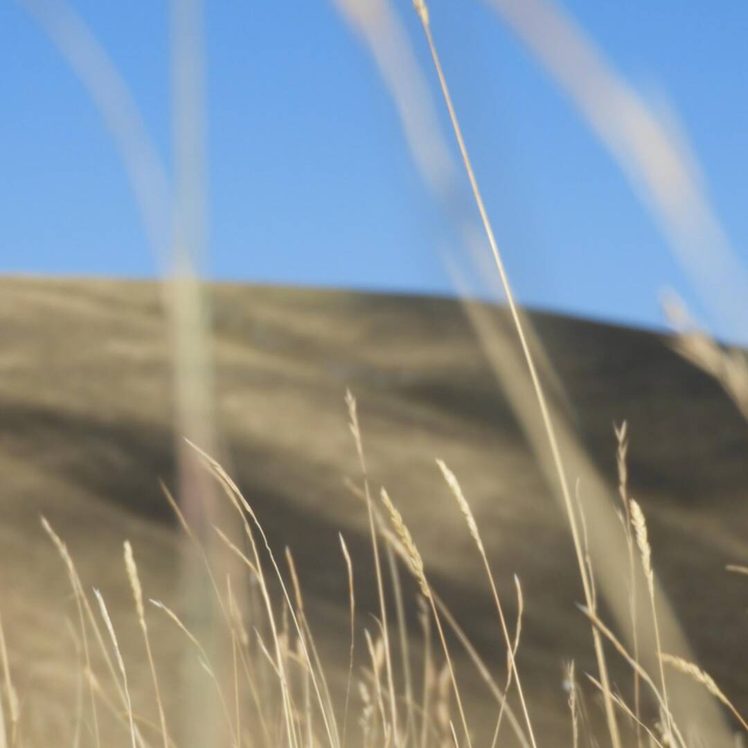 MARCHE-UMBRIA 2021