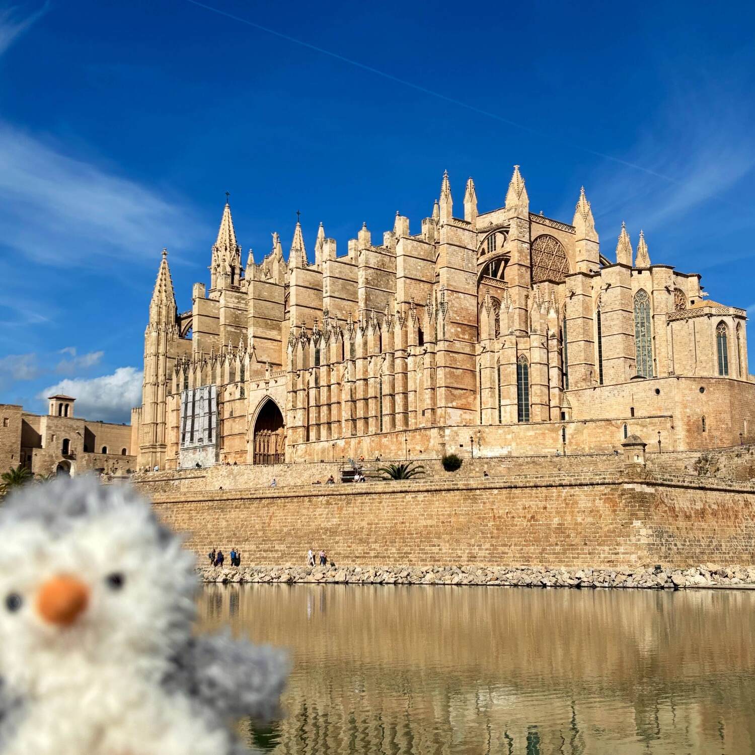 Mallorca 08.11. - 15.11.2025