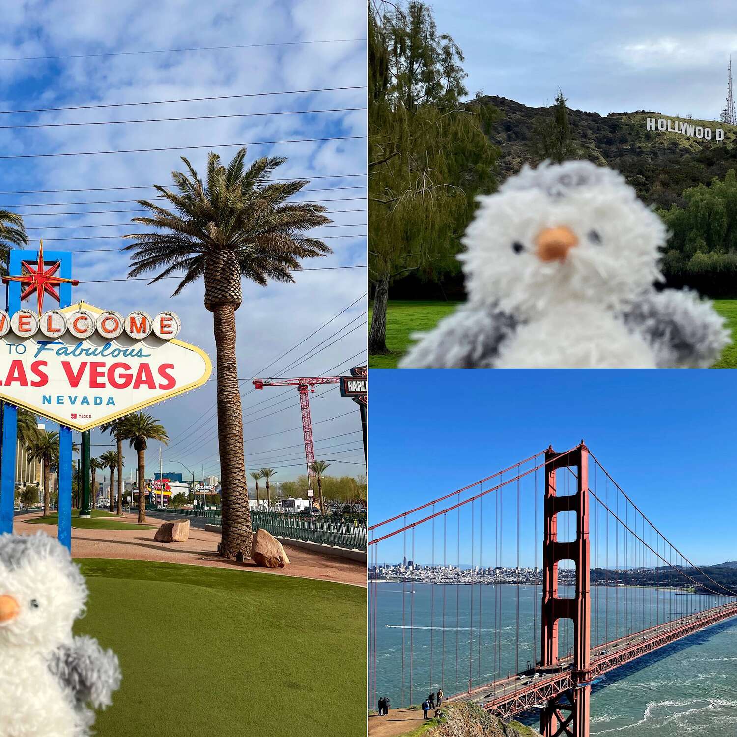 West Coast 01.02. - 14.02.24