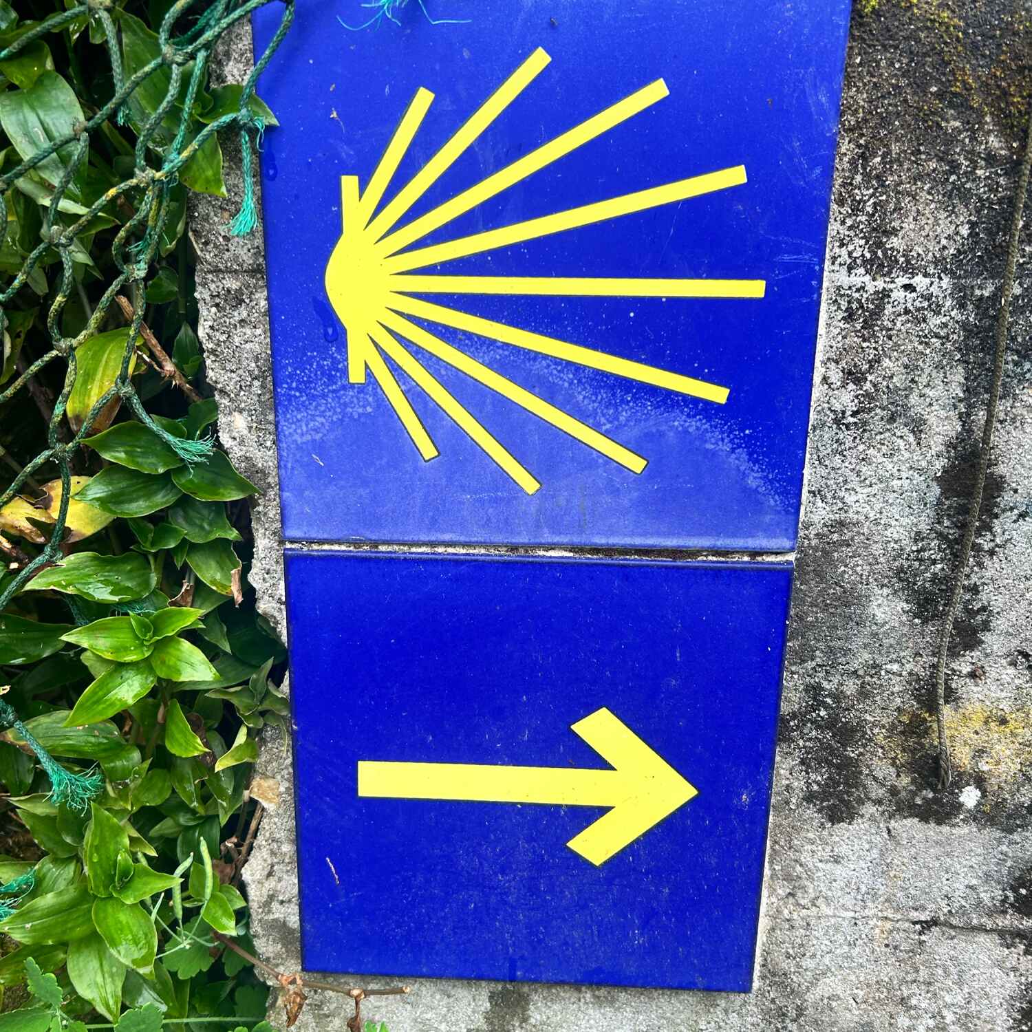 Faro to Lisbon to Fatima