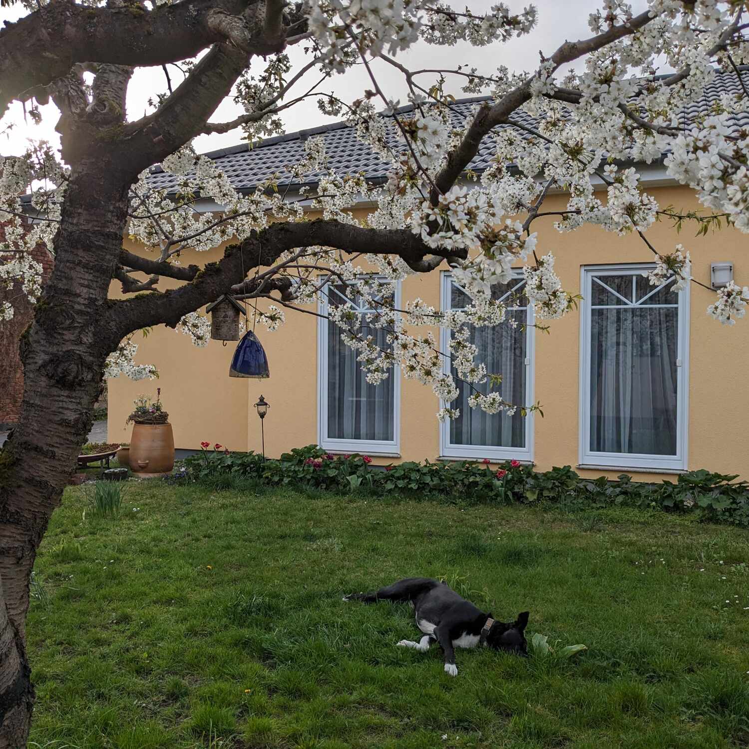 Garten Urlaub juche!