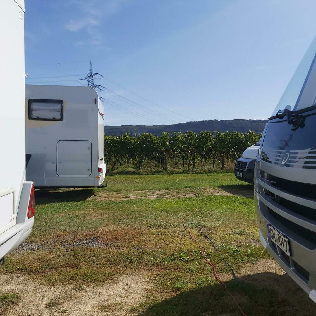 Longuich Weingut Feiten