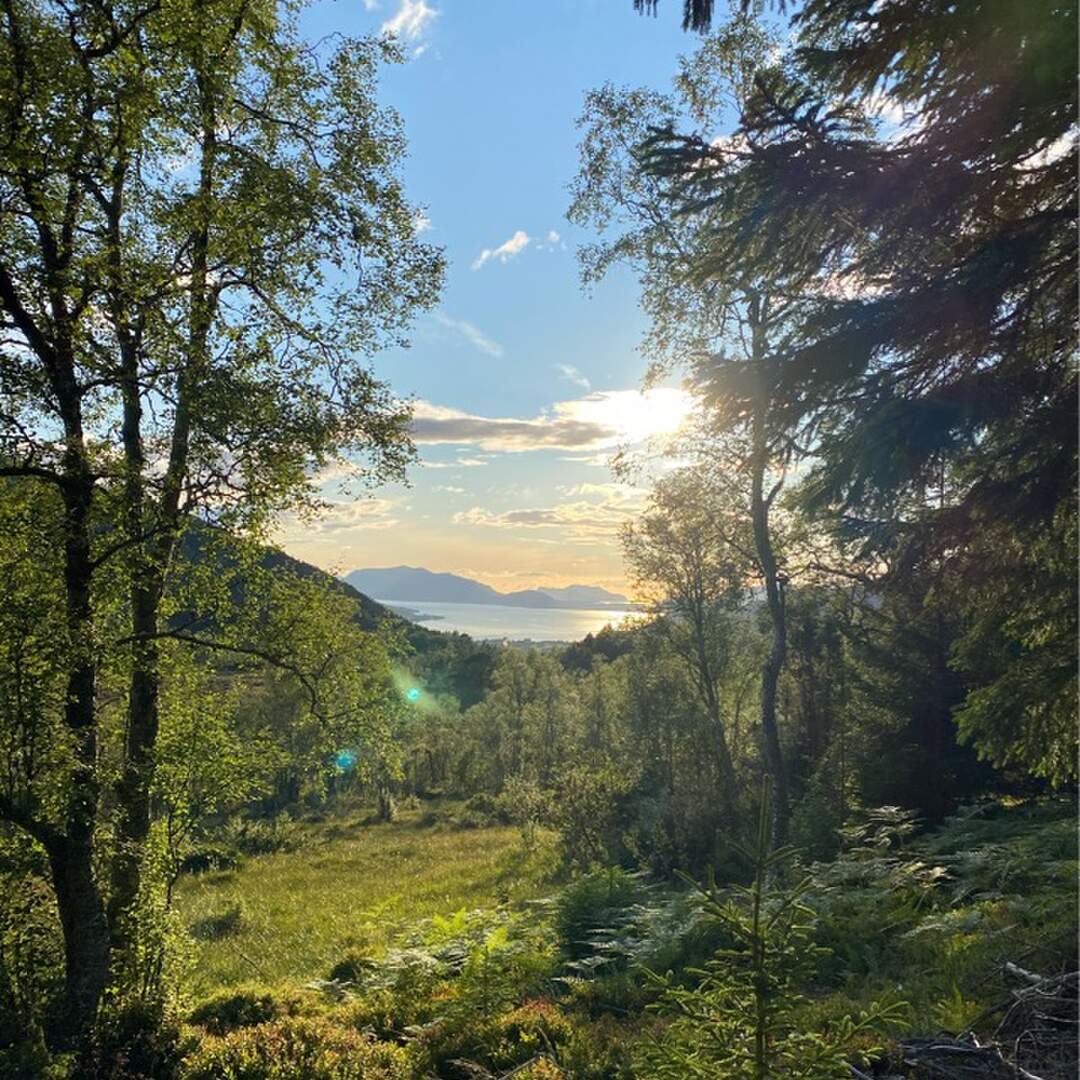 Velkommen Norwegen