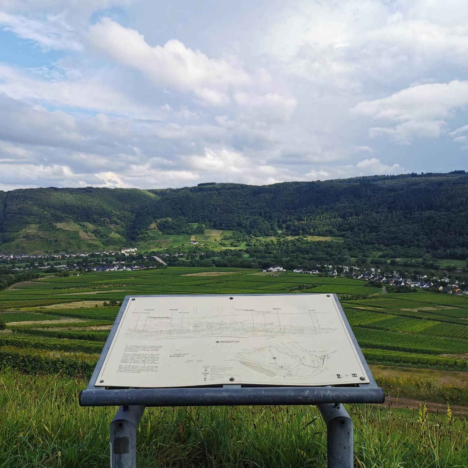 Bier an der Mosel