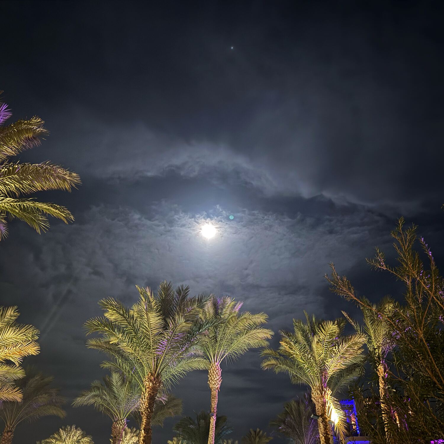 Ägypten 2026 🇪🇬