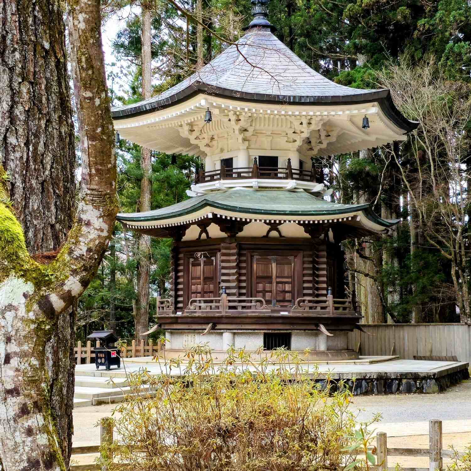 The100 - 日本の秘密