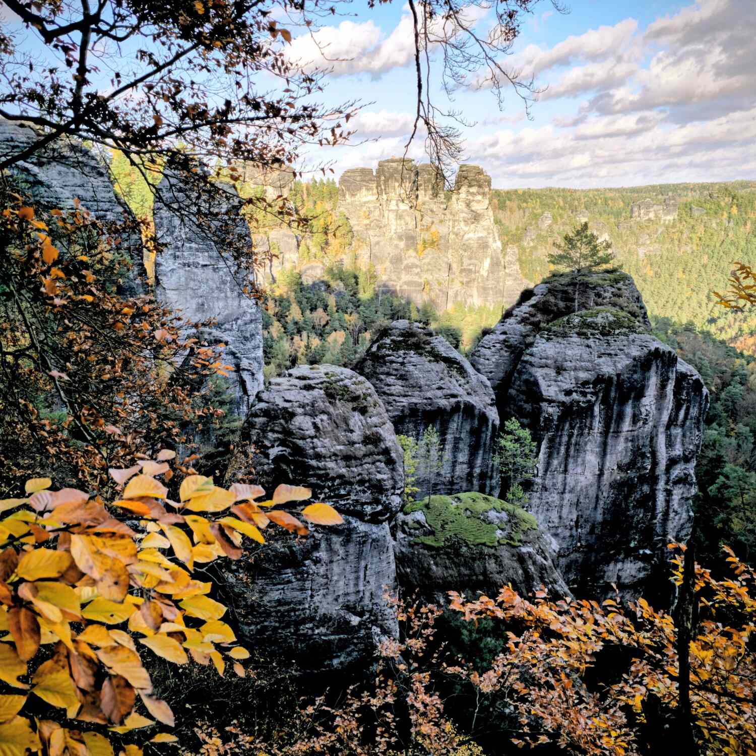 Der Malerweg - Sächs. Schweiz