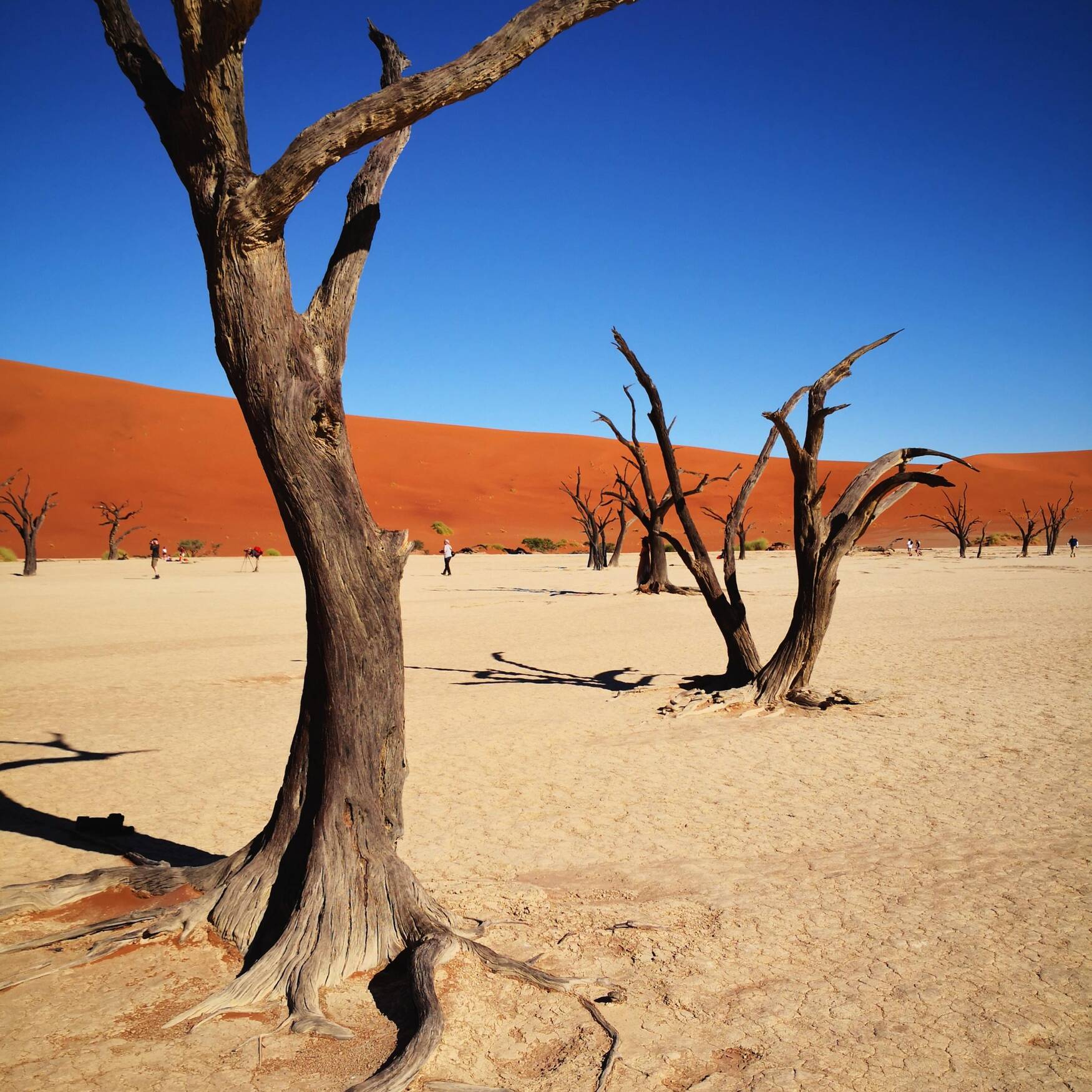 The100 - Africa