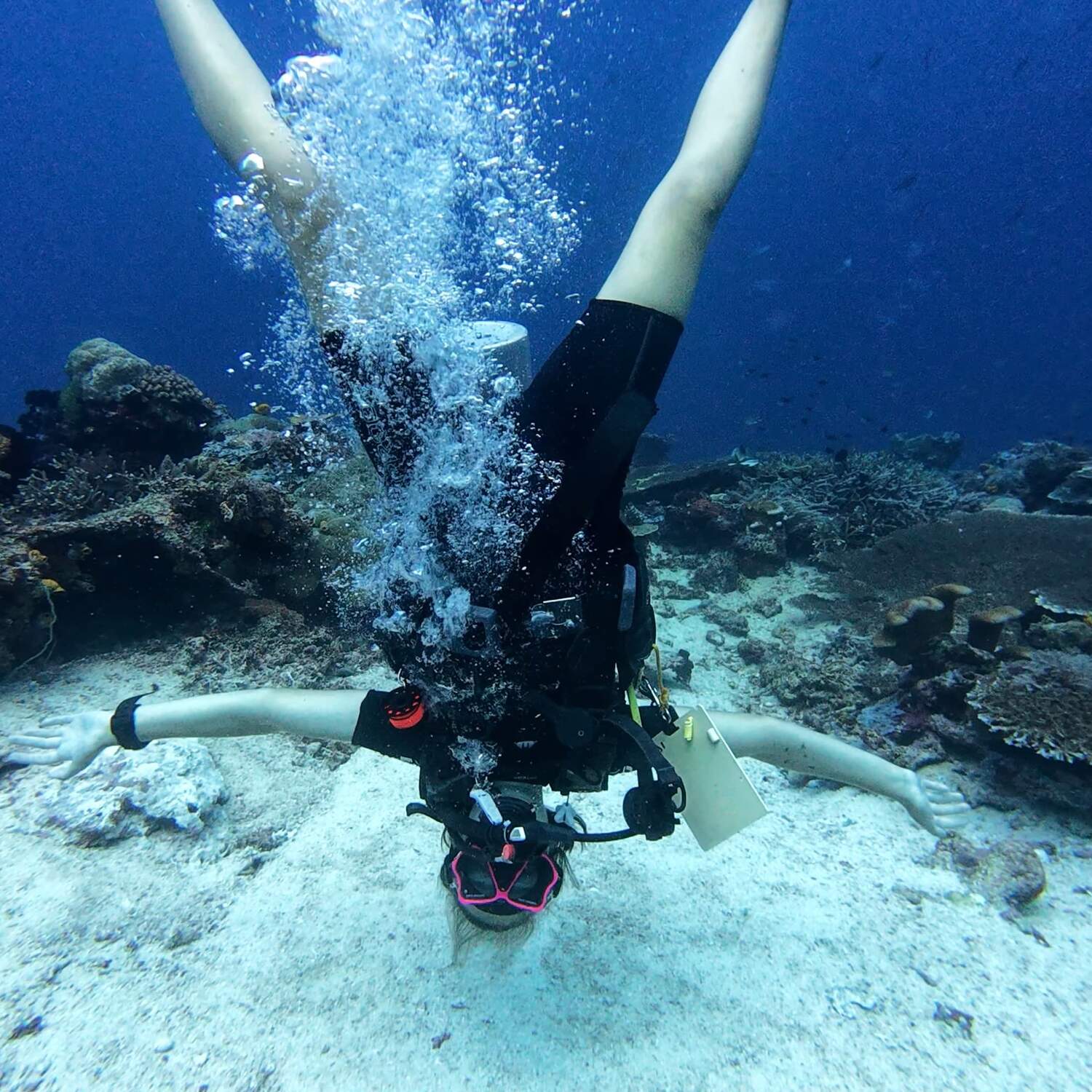Raja Ampat - Indonesien