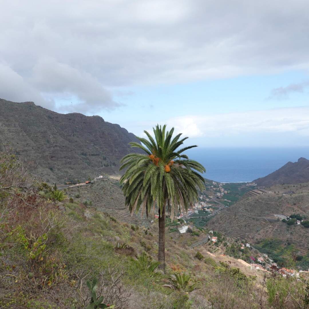 La Gomera