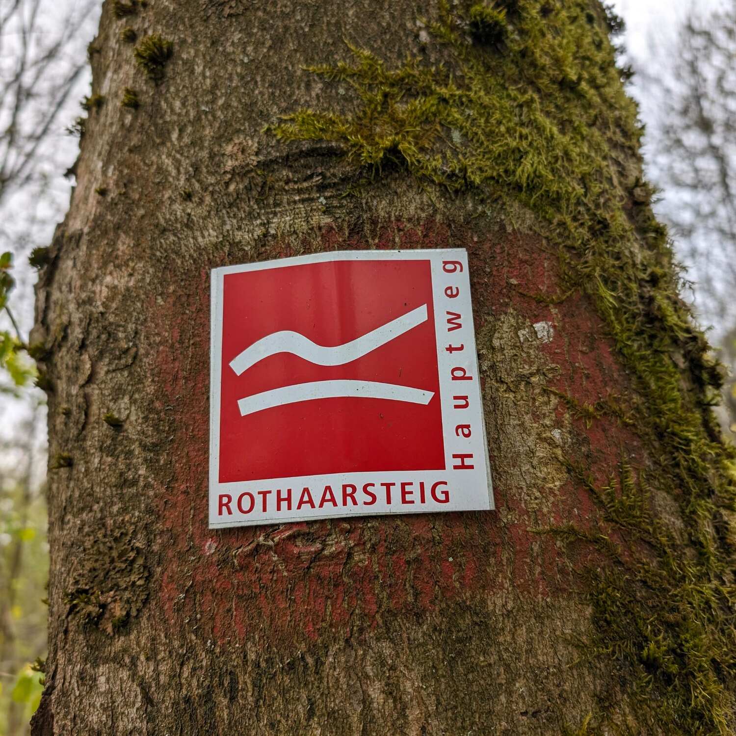 Rothaarsteig
