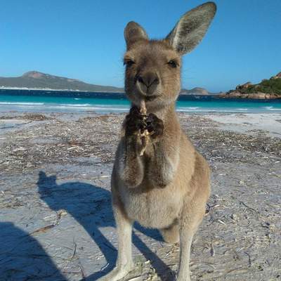 Australia