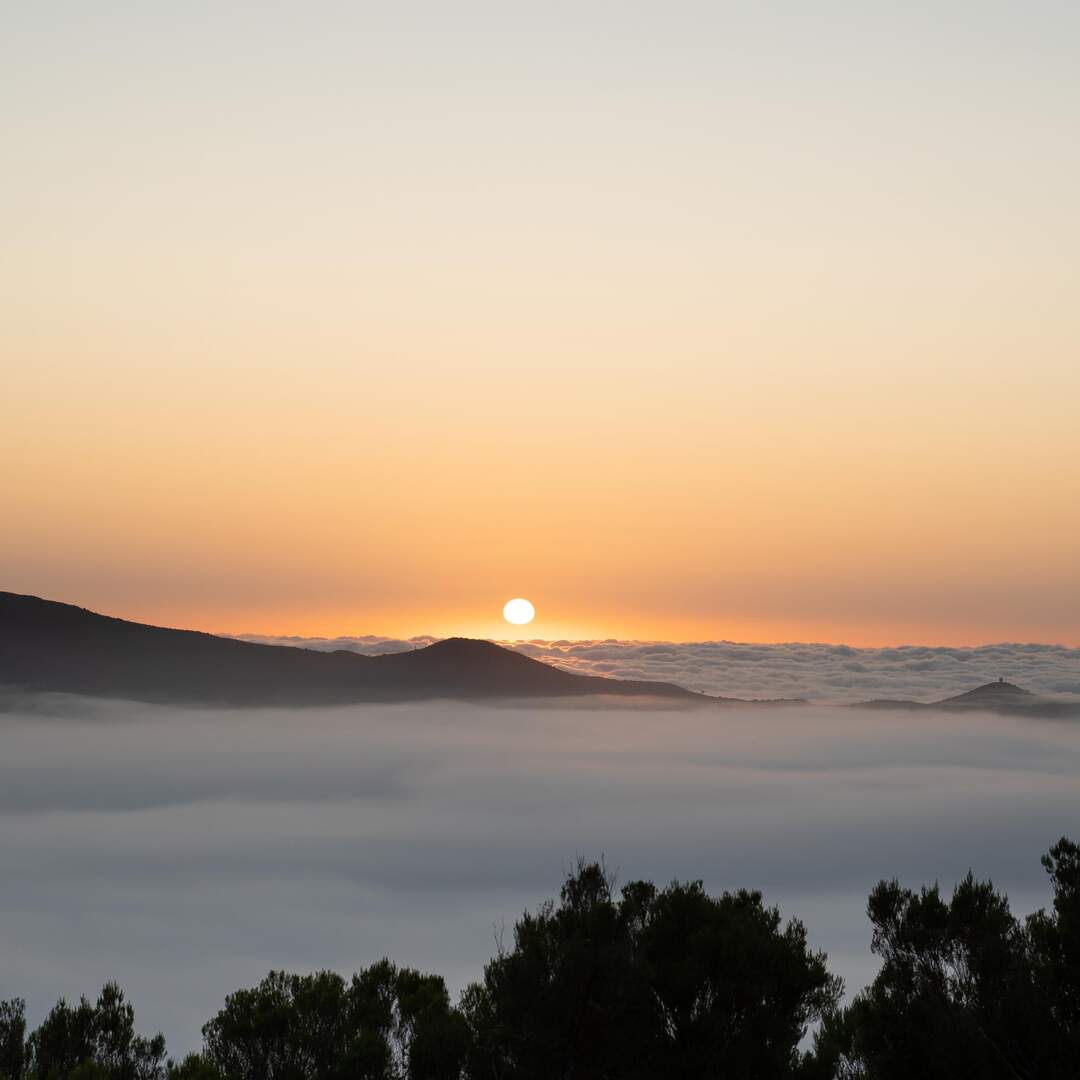Madeira